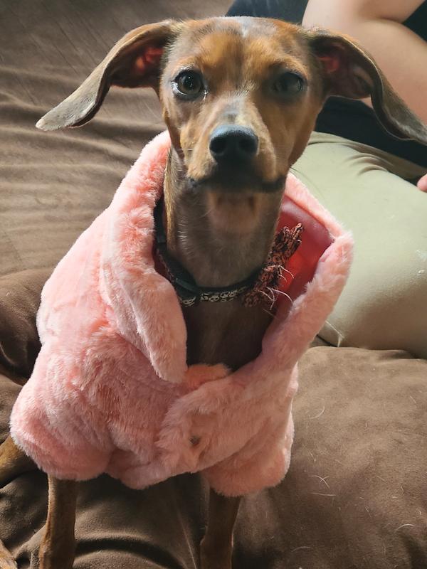 PINK FAUX FUR CHEWY VUITTON DOG COAT