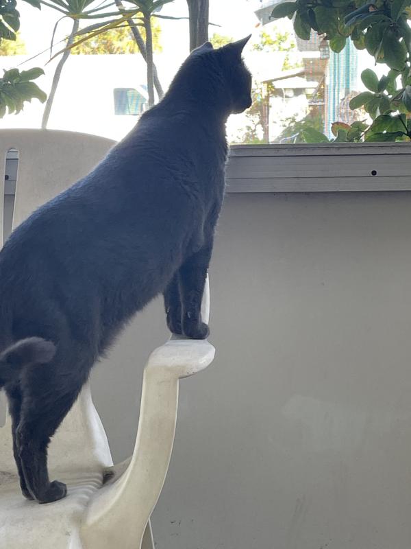 No more limping like an old man