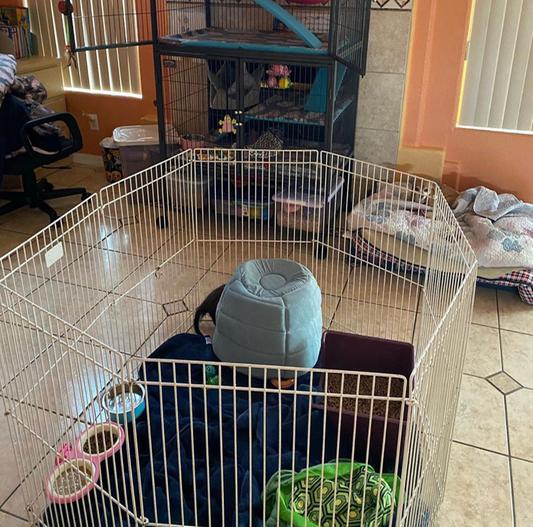 How we do the playpen setup