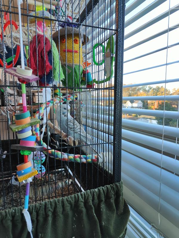 Front view of the toy