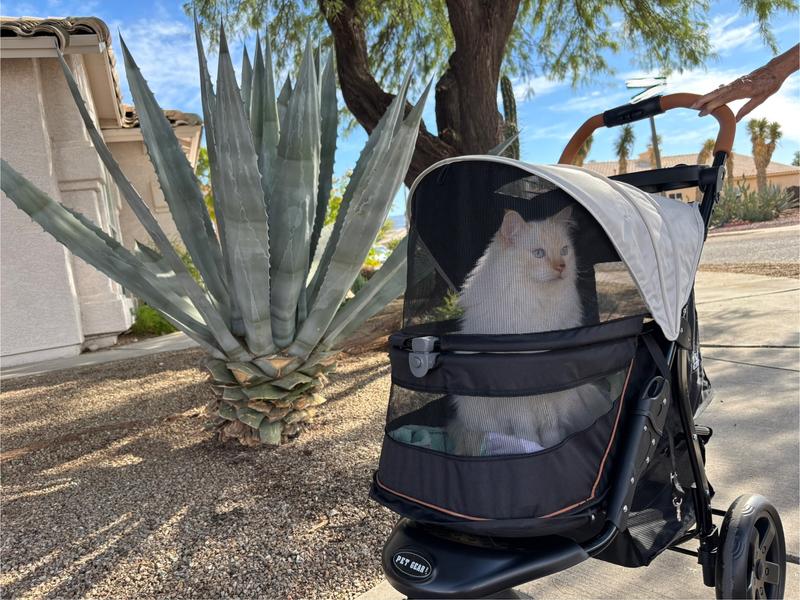 Very curious on first ride around the block