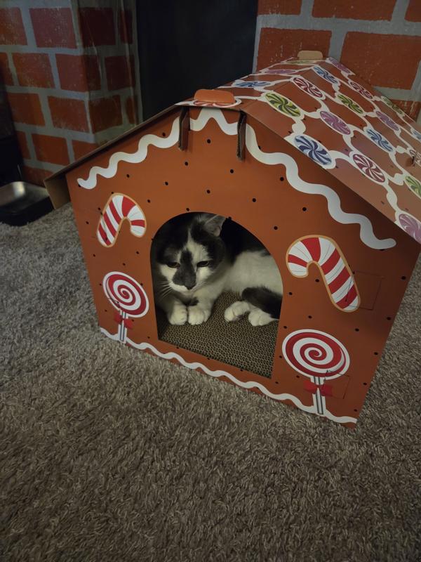 Home for the holidays