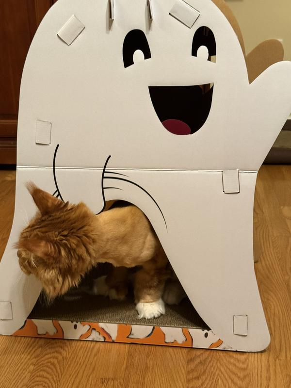 Looking for a slapping opportunity