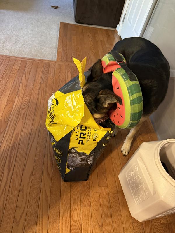 She couldn’t wait!