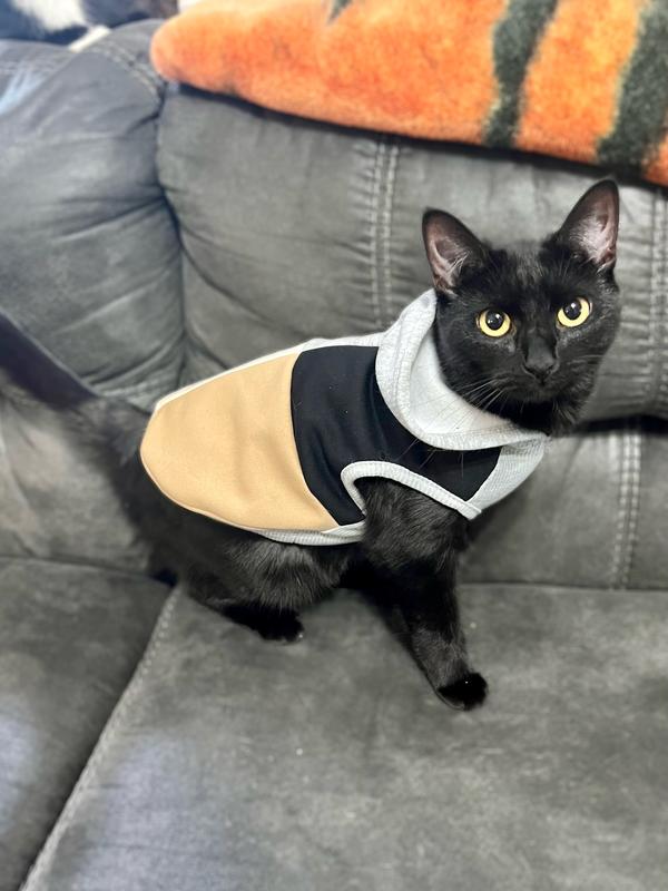 FRISCO Colorblock Dog & Cat Hoodie, Gray, XLarge