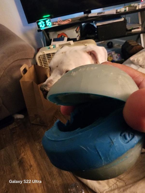 It came appart before he did the chew damage. Over year old.