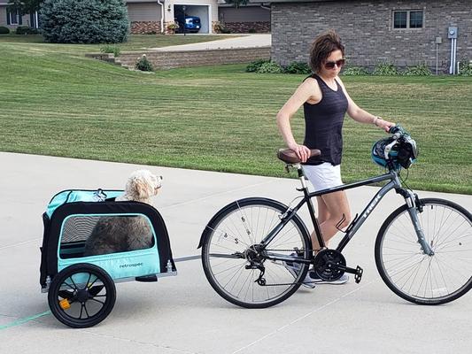 Retrospec rover deals bike trailer