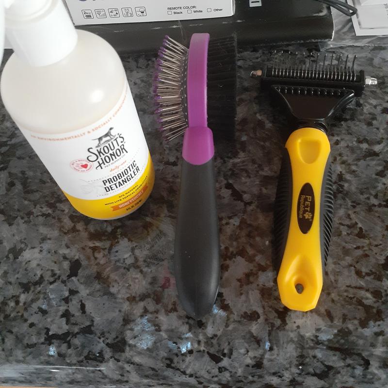 My stuff I bought for my cat