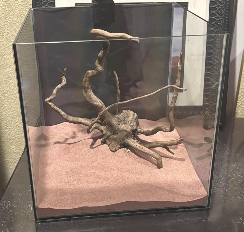 No overhead light (warm room lighting)