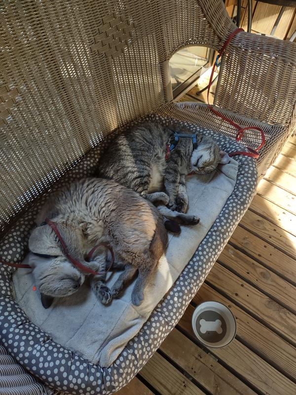Ruthie and Clyde