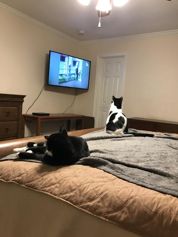 Mickey watching tv