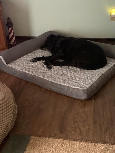Kate on her new bed.
