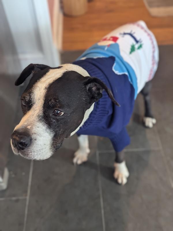 Frisco Mountain Cabin Dog & Cat Sweater