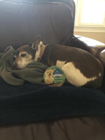 Resting after breakfast
