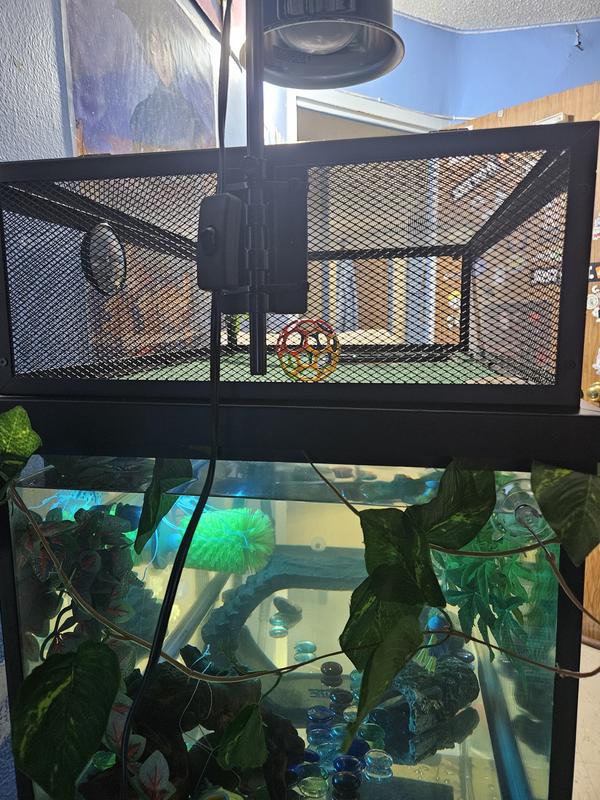 EXO TERRA Lamp Holder Bracket for Reptiles