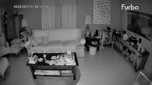 Using Furbo to capture couch
