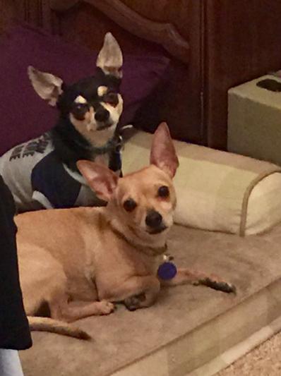 Vinnie and Carmine