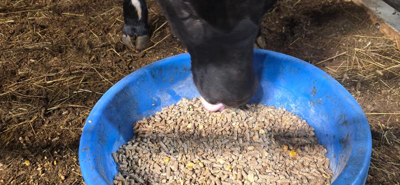 Mixing in the goodness