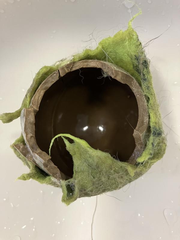 Pic speaks for itself