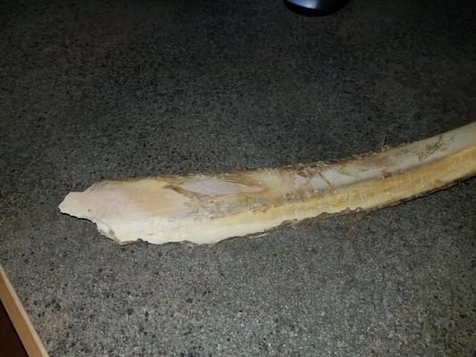 Rib Bone sharp edges after breakage