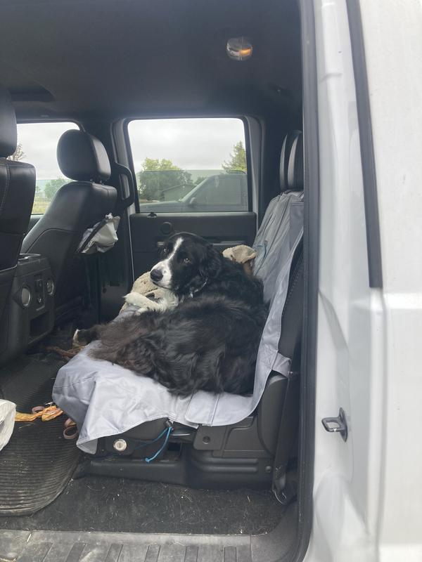 Enjoying the new seat cover