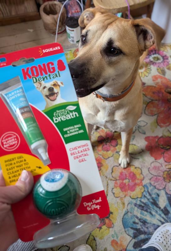 Penny is intrigued!  Packaging is easier to open than it looks.