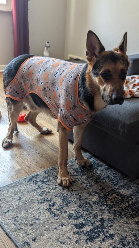 He didn't move far from this spot until it was off. But he looks cute!