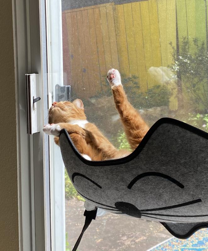 apricot being a goober