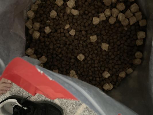 Wild Red Raw Blend