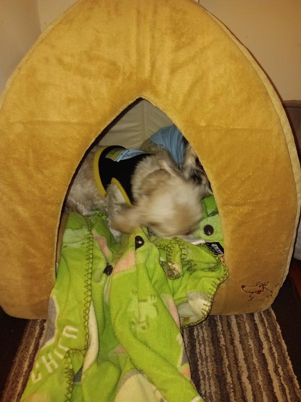 BEST PET SUPPLIES Fleece Tent Covered Cat & Dog Bed, Tan, XLarge