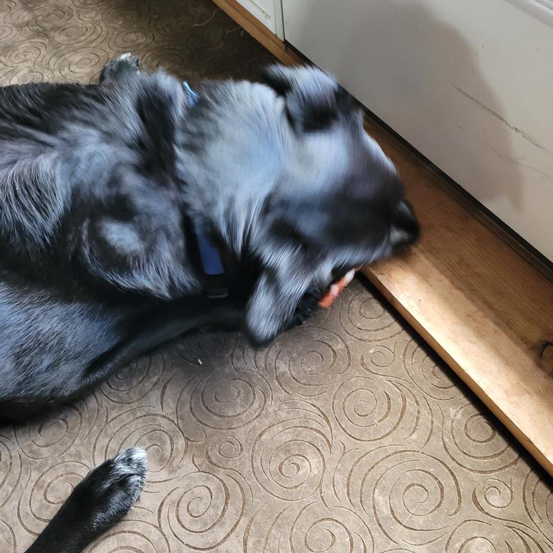 Eating in corner to savor