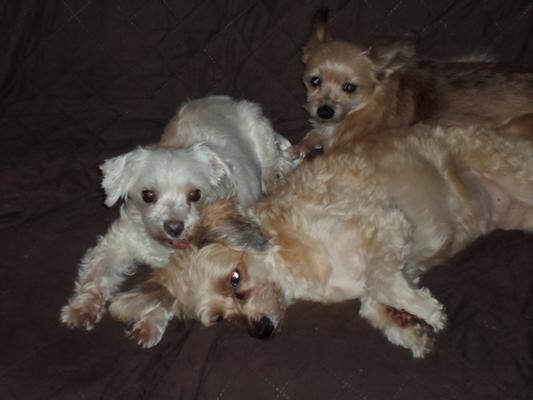 Heya another bath coming up