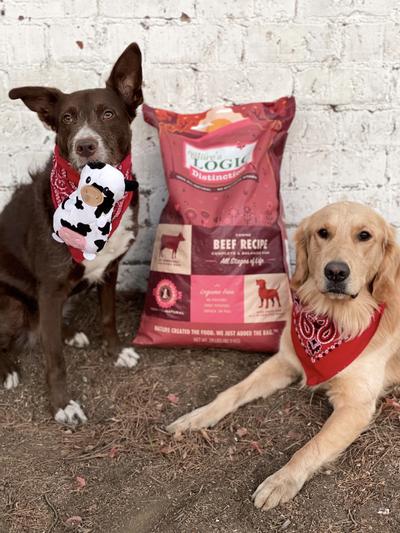 Rosie and Rico with their new favorite bag.
