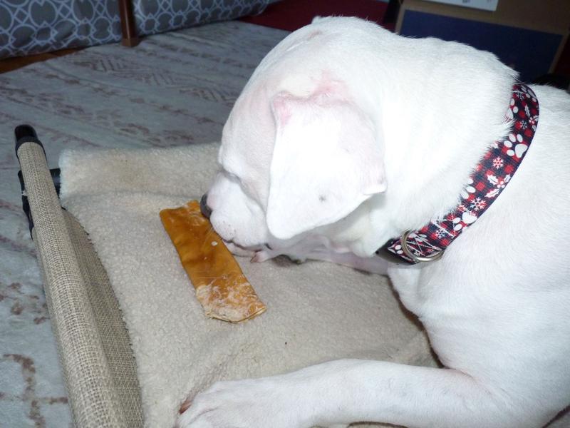 After a few minutes of chewing, only got one small piece off!