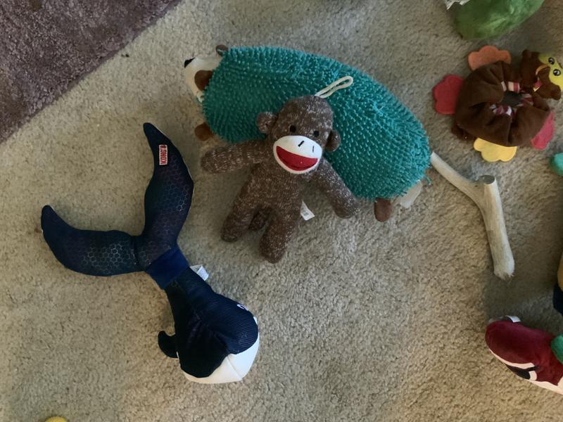 KONG Shakers Acoustix Maraca Dog Toy Green & Blue, Medium