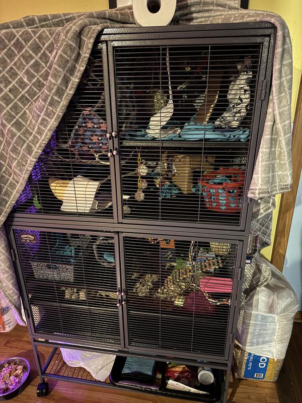 Double critter outlet nation rat cage