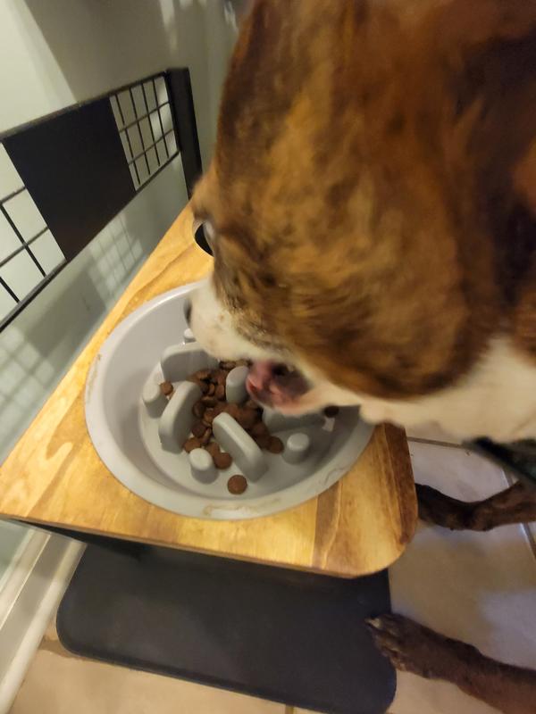 EVEN THE KITTIES WANT A TASTE!