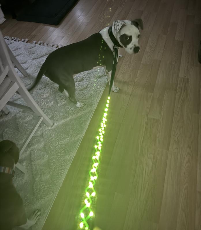 Works really well even during "dusk/dawn" light