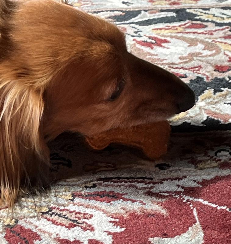 Don’t blink or you will miss seeing the snack!
