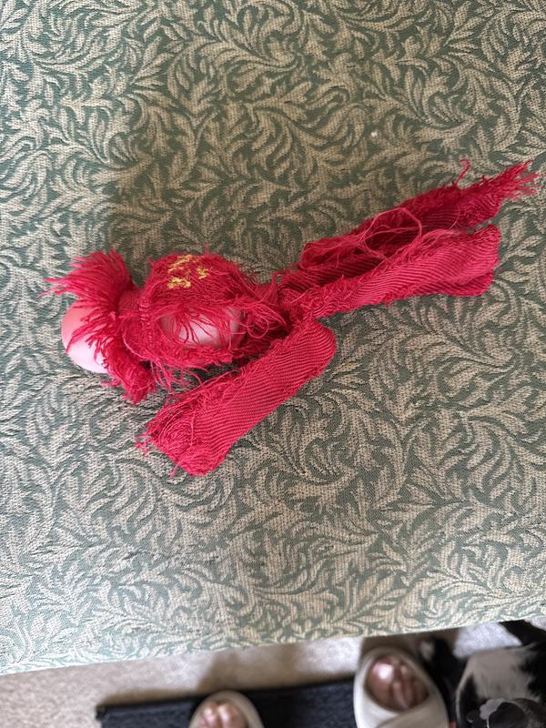almost chewed off squeaky ball covers off