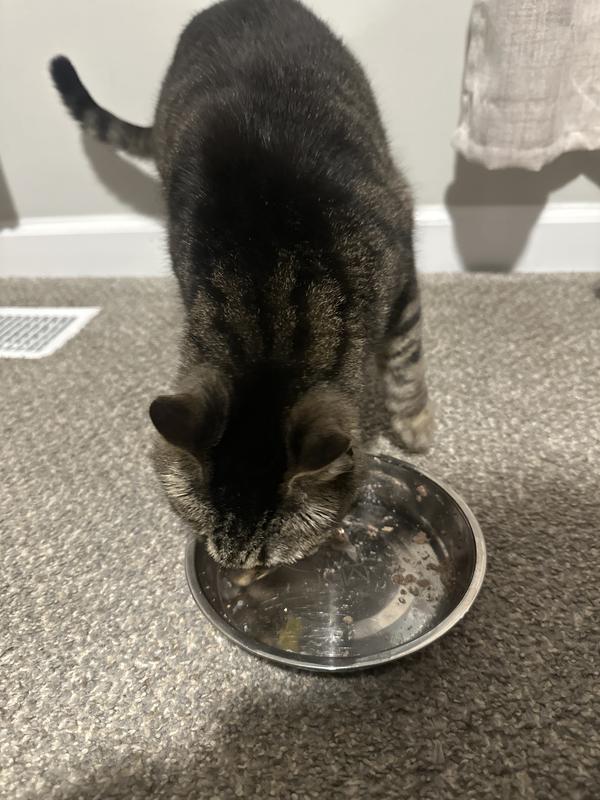 Wishing for more food!!