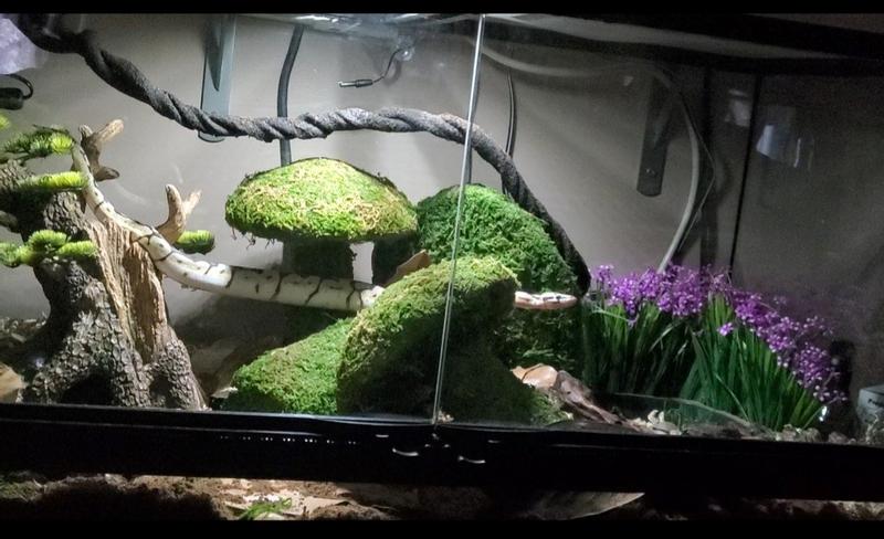 EXO terrarium チャニョル CHANYEOL EXO terrarium チャニョル CHANYEOL EXO terrarium チャニョル