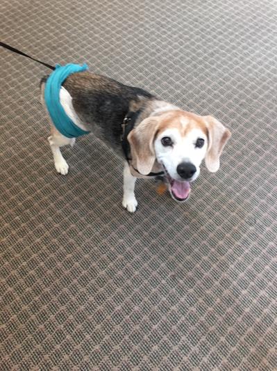Happy Lenny !