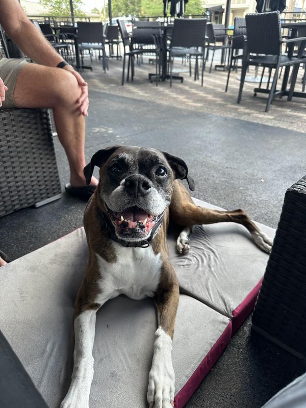 Happy girl on her new bed!