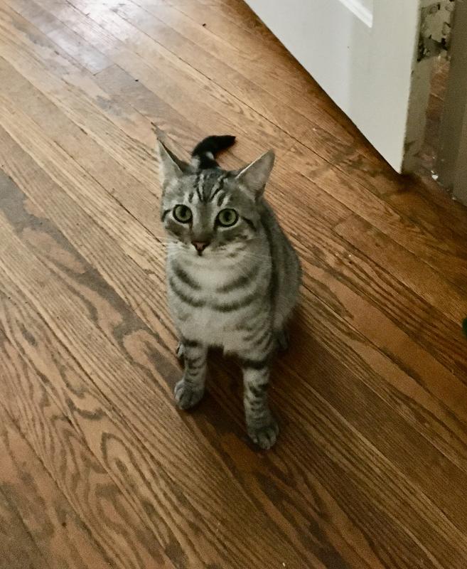 Sweet guy…picky eater