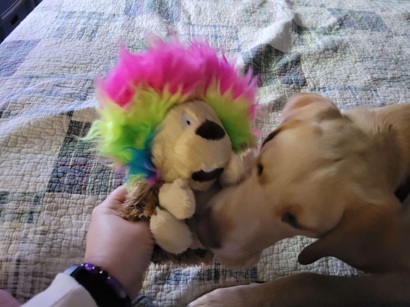 goDog Silent Squeak Crazy Hair Dog Toy - Hedg