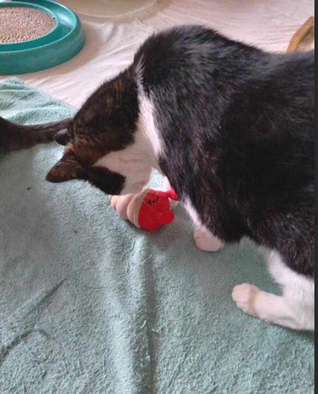 Yum, that smells good!