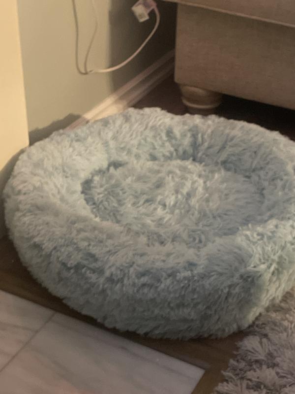 Huge cat bed!