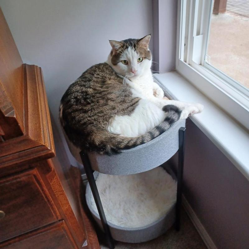 If it fits, I sits!