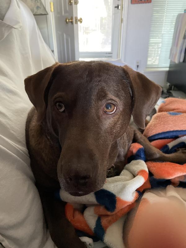 Can I have another please lol